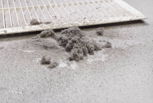 Best HVAC Duct Inspection Services  in Twin Lakes, CO